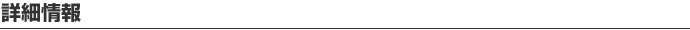 詳細情報