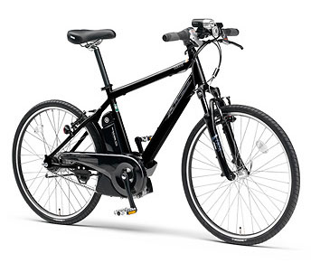 PAS Brace(パスブレイス)