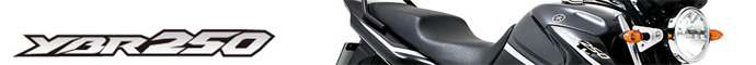 YBR250